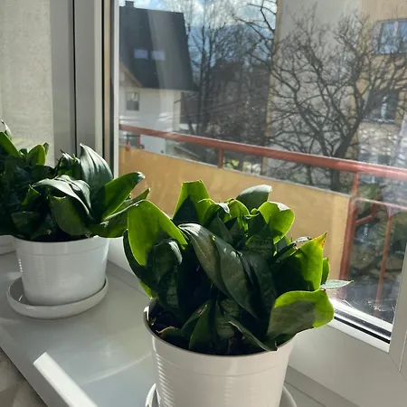 Trzymaj Apartman Zakopane