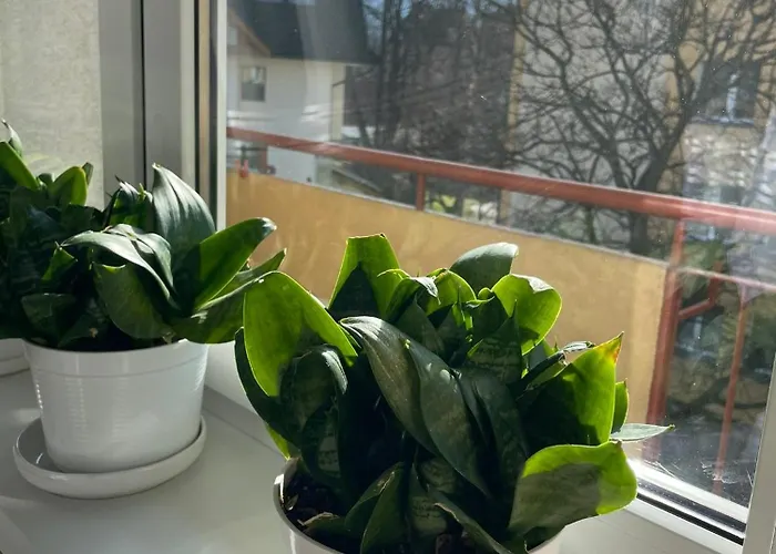 Trzymaj Appartamento Zakopane